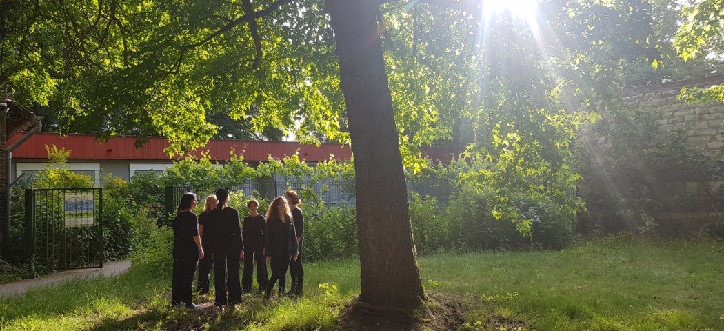 Filles RHIZÖM arbre dupire 20250516_184505.jpg